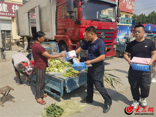 阳信县翟王镇开展安全生产月咨询志愿服务活动，强化公众安全意识